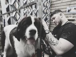 Andy – Groomer at Mason's Paws