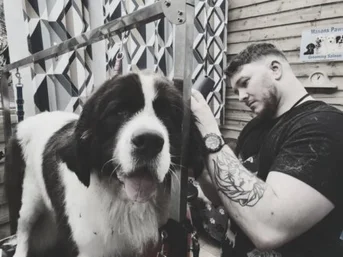 Andy – Dog Groomer in Andover